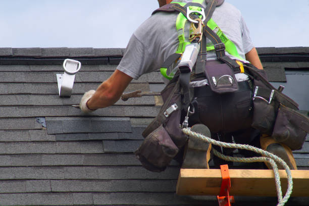 Best Local Roofing Companies  in Vienna, IL
