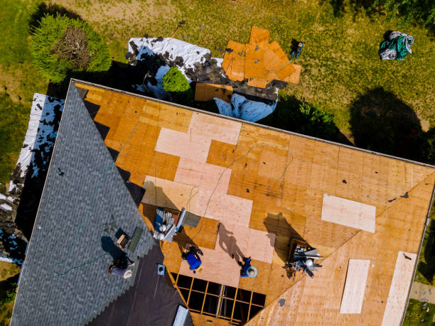 Best Roof Maintenance Services  in Vienna, IL