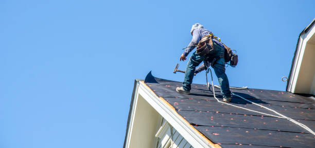 Roof Gutter Cleaning in Vienna, IL
